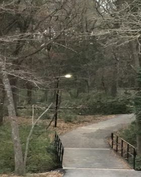 201901美國德克薩斯州桑迪溪公園項目