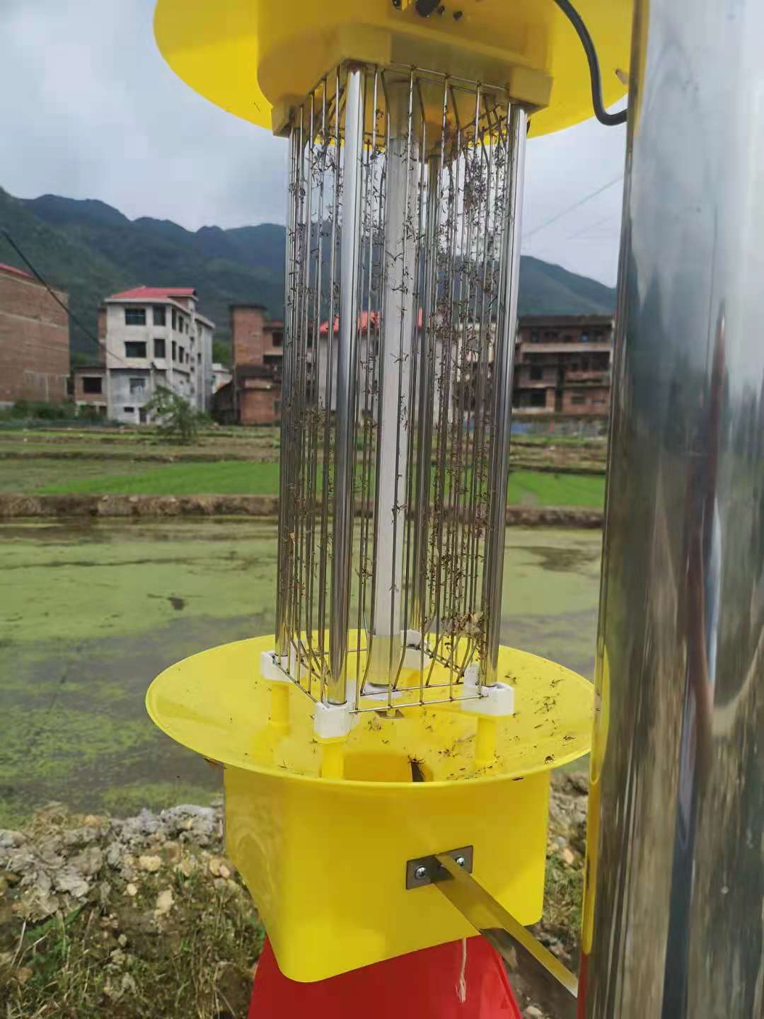 太陽能殺蟲燈.jpg